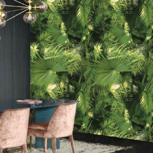 Pindo Palm Wallpaper